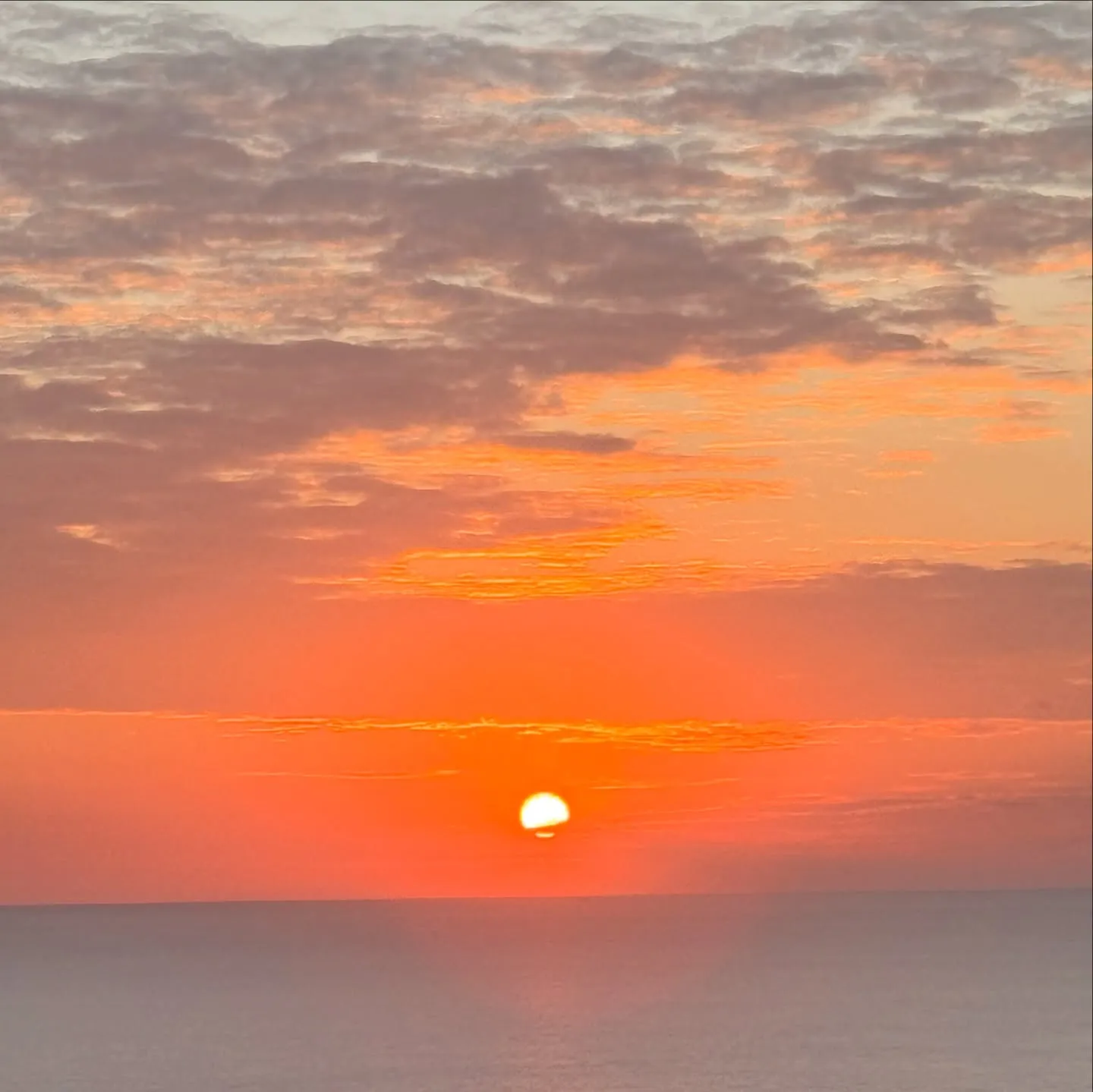 昨日、今日のお昼は非常に温かい沖縄です☀️