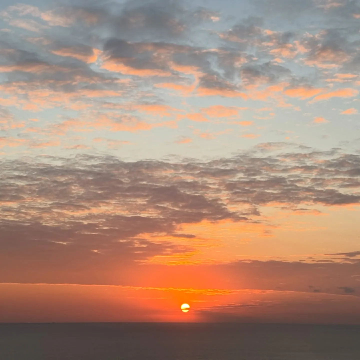 昨日、今日のお昼は非常に温かい沖縄です☀️