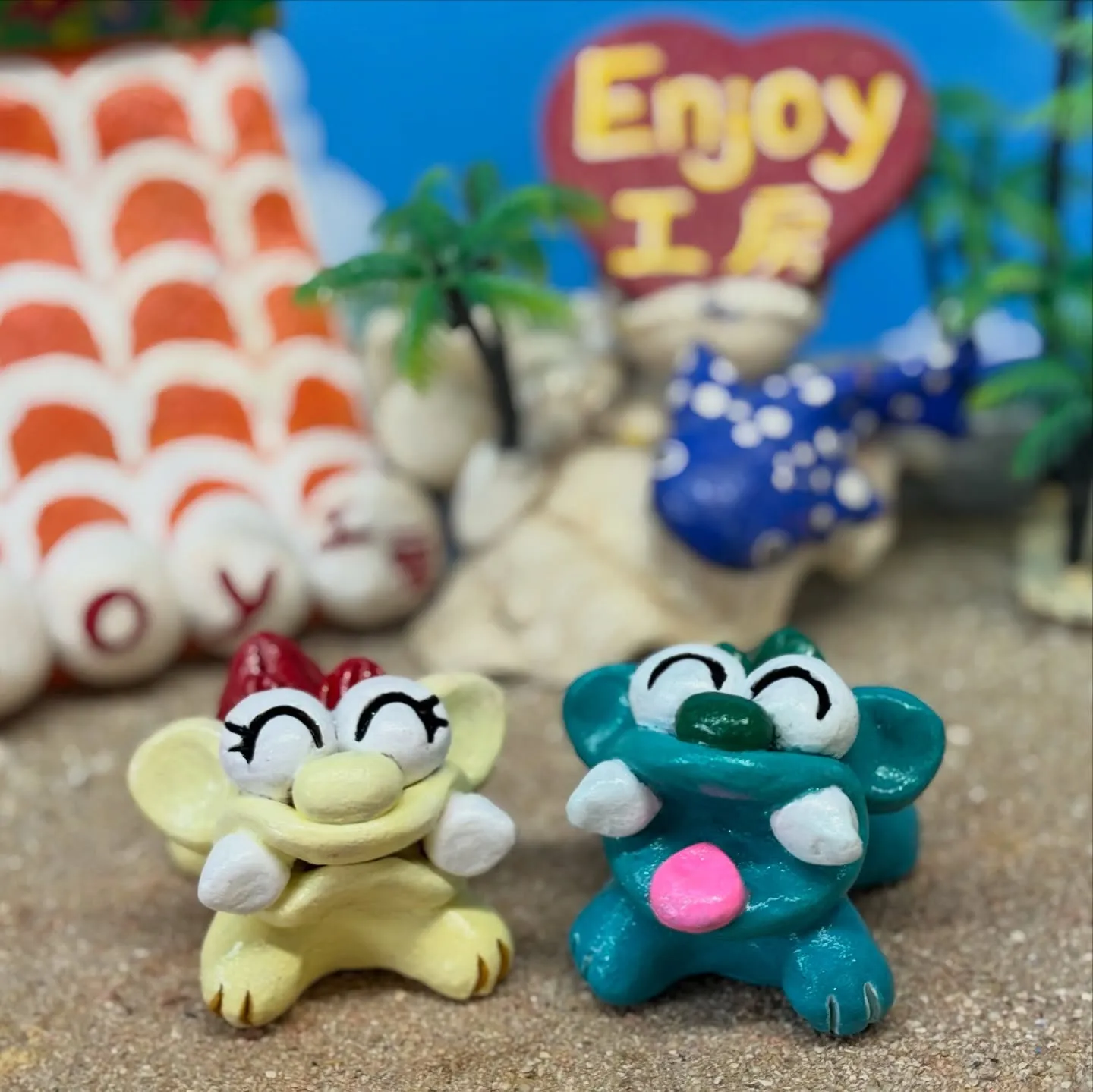 昨日、今日のお昼は非常に温かい沖縄です☀️